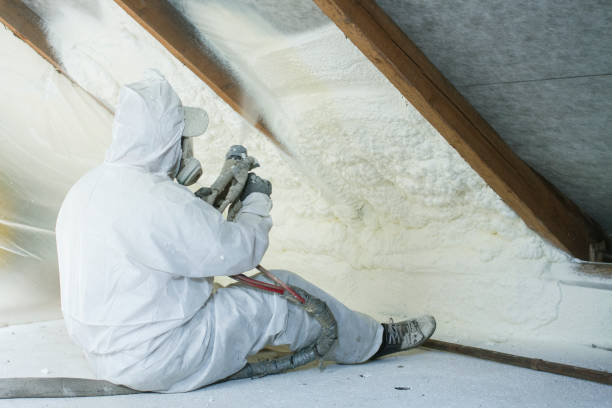 Eco-Friendly Insulation Solutions in Cuero, TX